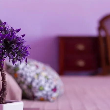 Couette-café Nonna Nina 2*